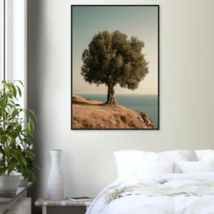 Ancient Olive Tree — Framed Print