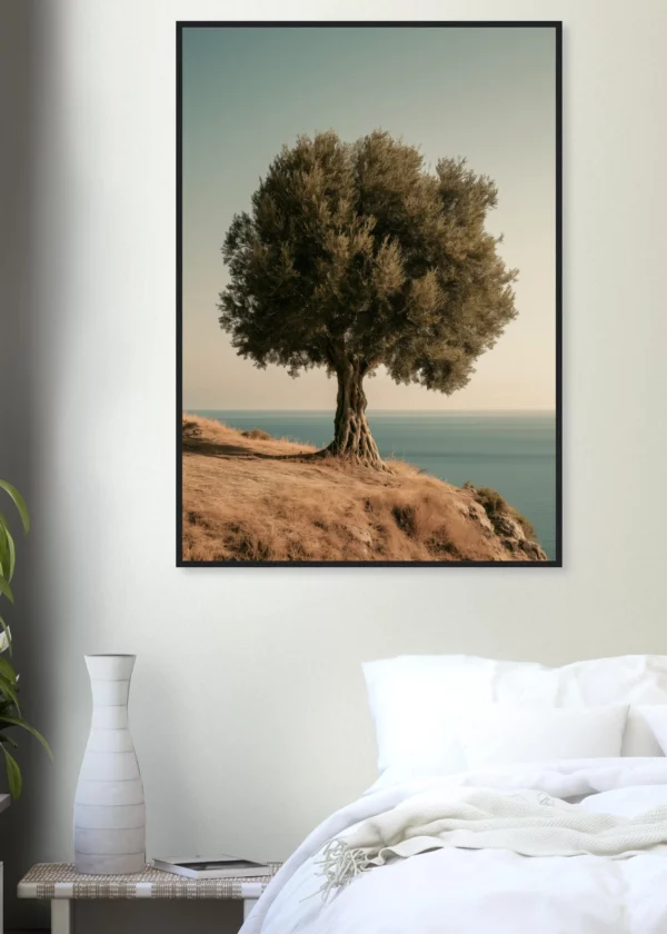 Ancient Olive Tree — Framed Print