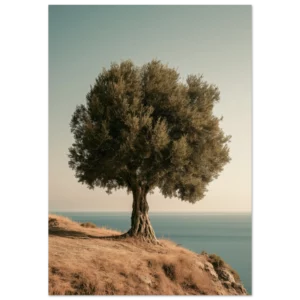 Árbol de olivo milenario — Póster de arte mate
