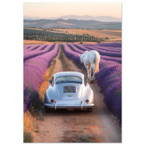Porsche 356 and Lavender Fields  — Matte Art Print