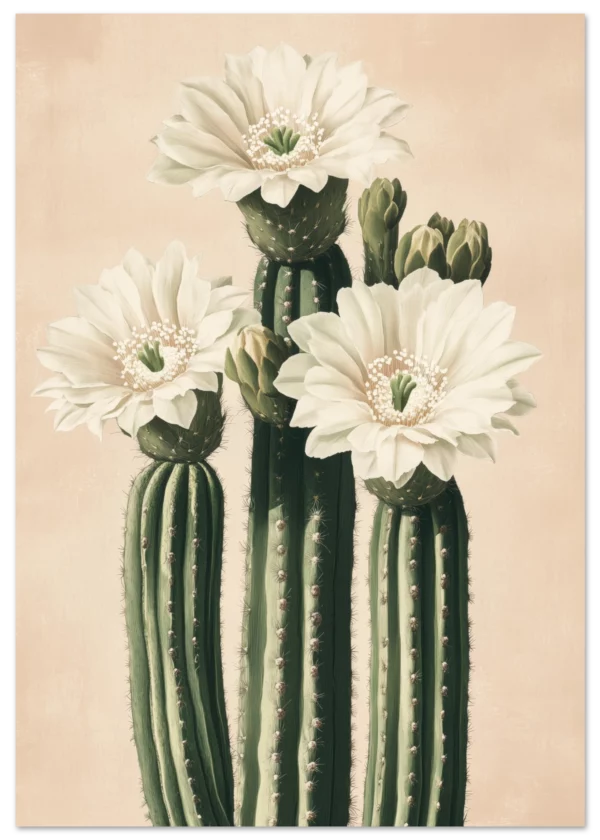 White Cactus Bloom — Matte Art Print