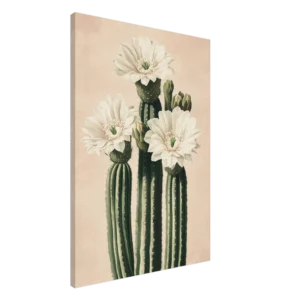 White Cactus Bloom — Canvas Print