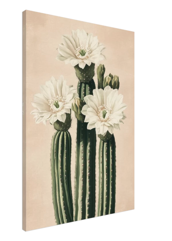 Flor de cactus blanco — Impresión en lienzo