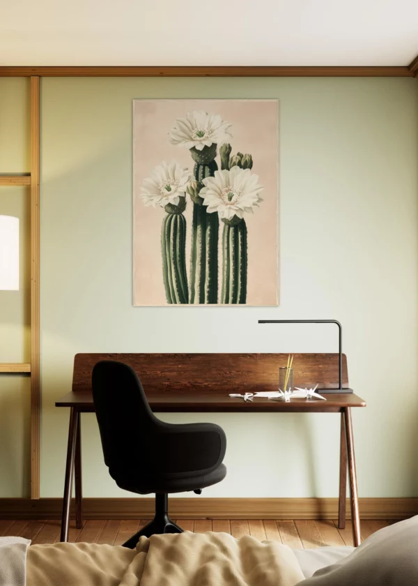 Fleur de cactus blanc — Impression encadrée