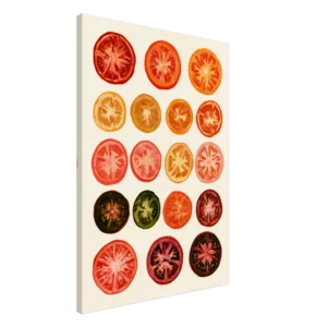 Heirloom Tomatoes — Botanical Study — Canvas Print